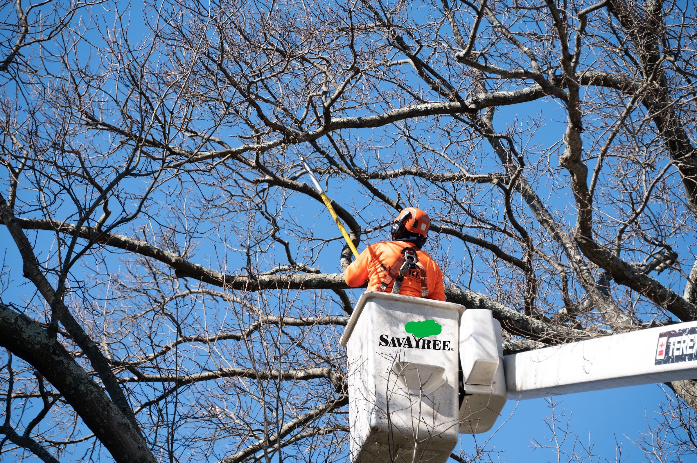 SavATree — Home Services in Heber City, UT