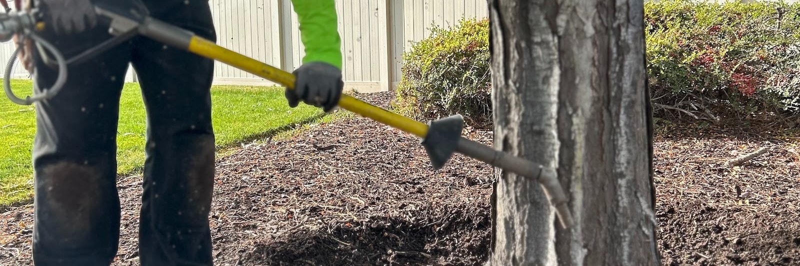 TreeMendus Arbor Care — Home Services in Syracuse, UT